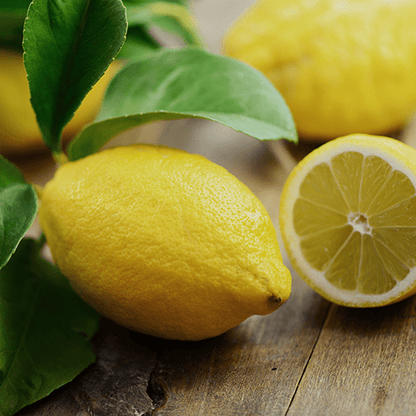 Frische Zitrusfrüchte Handgemachte Seife mit Kordel
